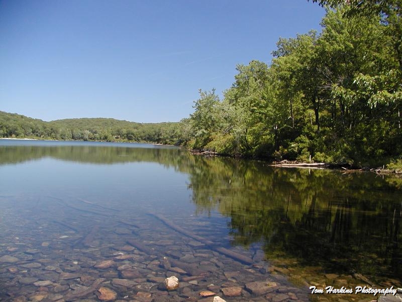 Reflections in the lake (3789483).jpg